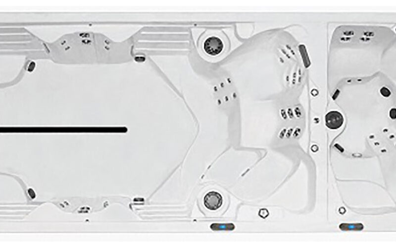 FX219