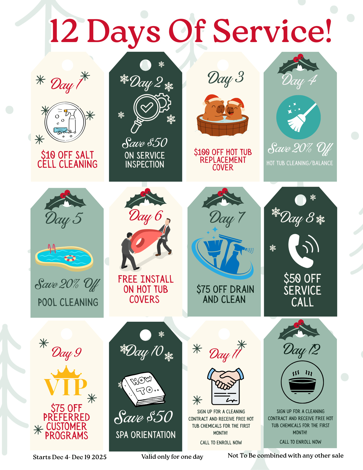 Elko Spas, Billiards & Pools 12 Days Of Christmas Services