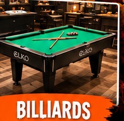 Olhausen Billiards at Elko
